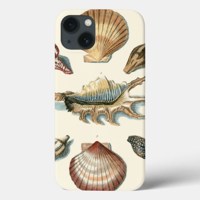 Funda De Case-Mate Para iPhone Playa Fancy Shell (Reverso)