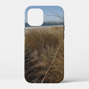 title_seo2 Playa Limantour en Point Reyes National Seashore I