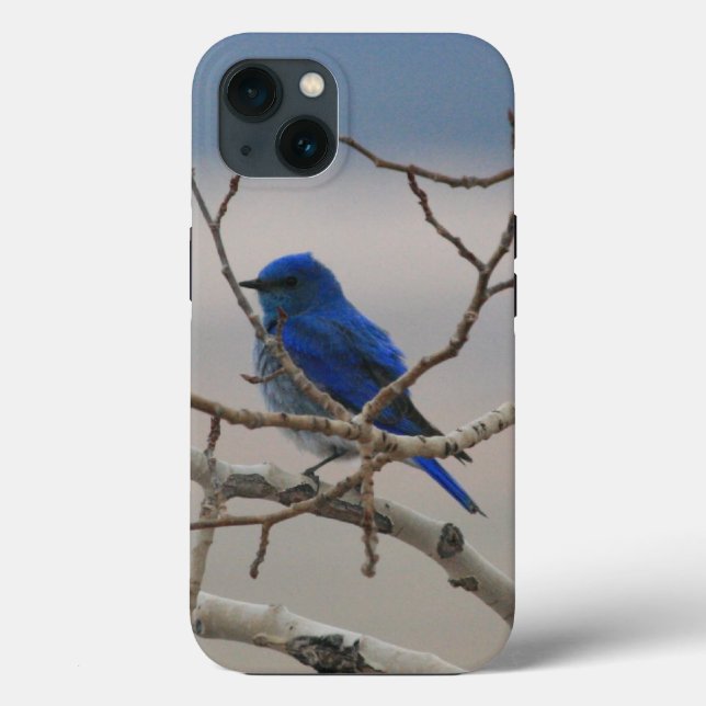 Funda De Case-Mate Para iPhone Pleorae (Reverso )