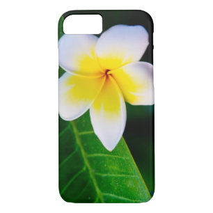 Funda Para iPhone 8/7 plumeria