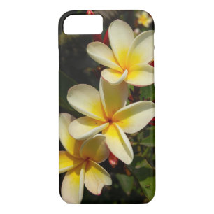 title_seo2 Plumeria