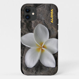 title_seo2 Plumeria en las rocas