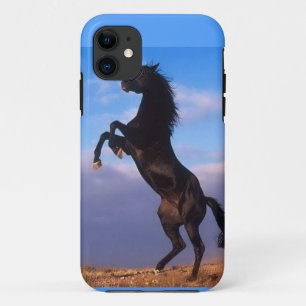 title_seo2 poder de caballo del caso de Barely There del