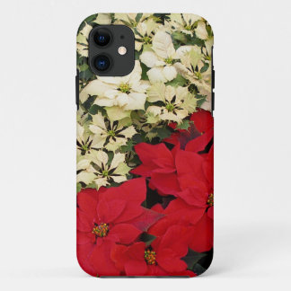 title_seo2 Poinsettias blancas y rojas con flores