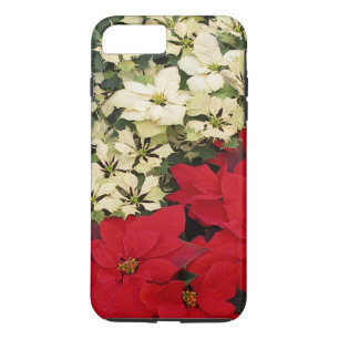 title_seo2 Poinsettias blancas y rojas con flores