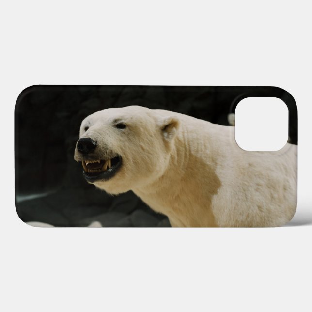 Funda De Case-Mate Para iPhone Polar Bear Grin (Reverso (Horizontal))