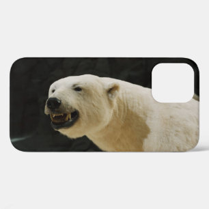 Funda Para iPhone 12 Polar Bear Grin