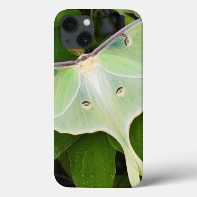 Funda De Case-Mate Para iPhone Polilla Luna en Clemátide de Carnaby (Reverso)