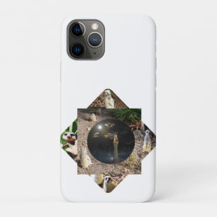 Funda Para iPhone 11 Pro Poliscopio de Meerkat,