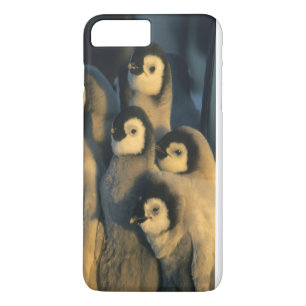 Funda Para iPhone 8 Plus/7 Plus Polluelos de pingüino emperador en guardería, Apte