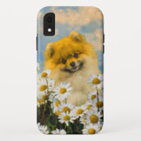 Pomerania en pintura de Daisies - Arte de perro or