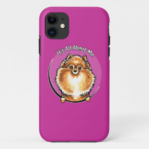 title_seo2 Pomeranian anaranjado IAAM