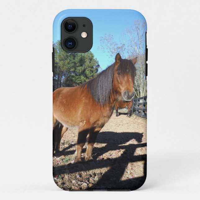 Funda De Case-Mate Para iPhone Poni marrón cielo turquesa (Reverso)
