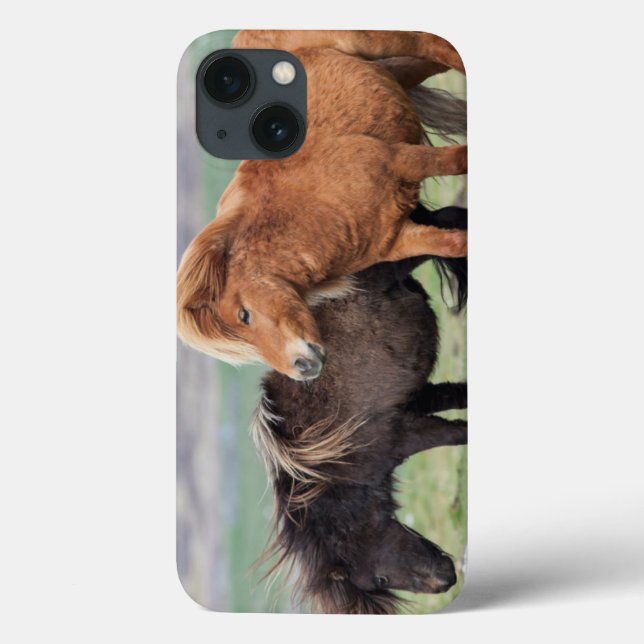 Funda De Case-Mate Para iPhone Pony Shetland, Islas Shetland, Escocia 2 (Reverso)