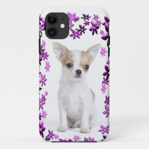title_seo2 Popa chihuahua