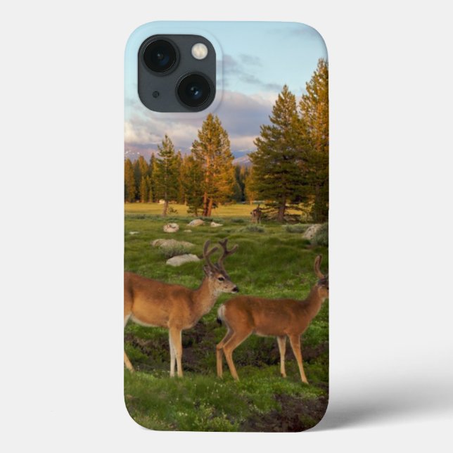 Funda De Case-Mate Para iPhone Prado de Tuolumne, Yosemite (Reverso)