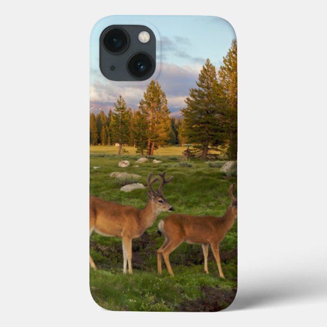 Funda De Case-Mate Para iPhone Prado de Tuolumne, Yosemite (Reverso)