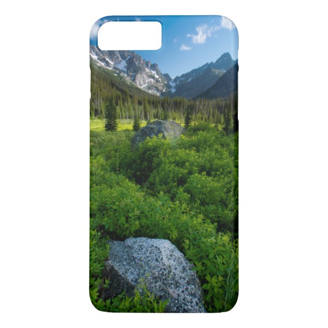 Funda De Case-Mate Para iPhone Prado y Mt. Stuart (Reverso)