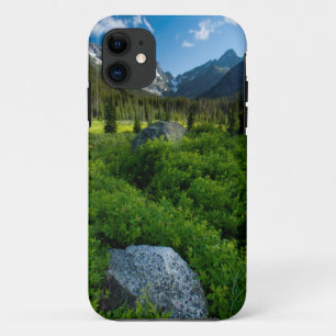Funda Para iPhone 11 Prado y Mt. Stuart