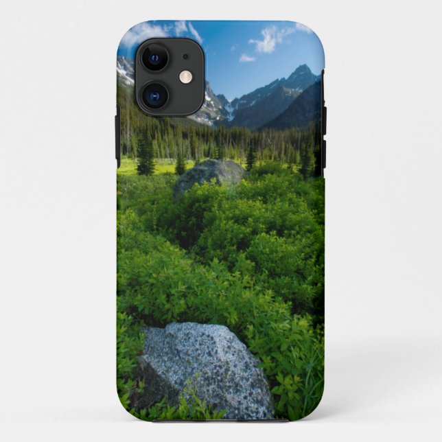 Funda De Case-Mate Para iPhone Prado y Mt. Stuart (Reverso)