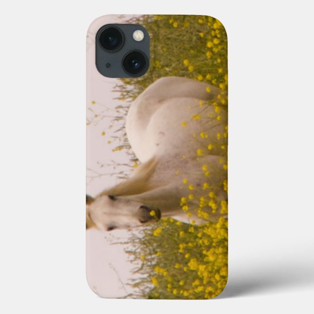 Funda De Case-Mate Para iPhone Primavera (Reverso)