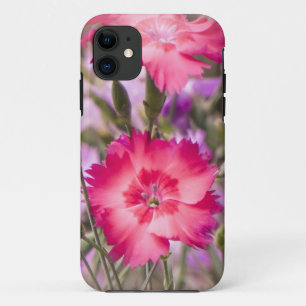 title_seo2 Primavera floral