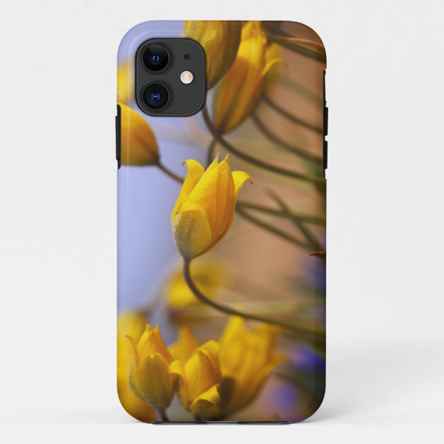 Funda De Case-Mate Para iPhone Primer de narcisos (Reverso)