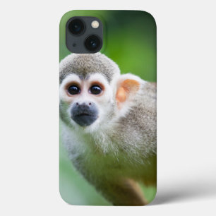 Funda Para iPhone 13 Primer de un mono de ardilla común