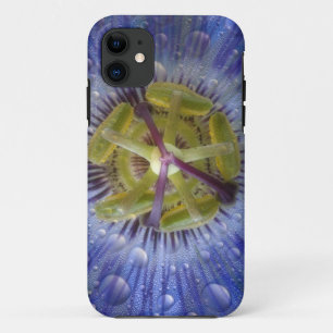 Funda Para iPhone 11 Primer plano de flor de la pasión con rocío. Crédi