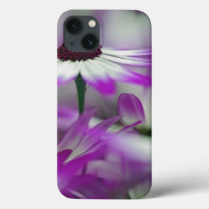 Funda Para iPhone 13 Primer plano de flor morada, Jardín Keukenhof,