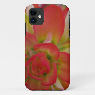 Funda Para iPhone 11 Primer plano de Indian Paint Brush cerca de Gay Hi