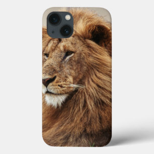 Funda Para iPhone 13 Primer plano de león macho