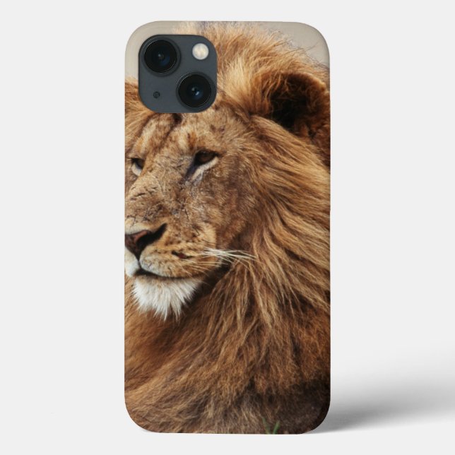 Funda De Case-Mate Para iPhone Primer plano de león macho (Reverso)