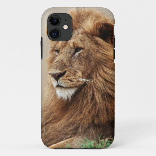 Funda De Case-Mate Para iPhone Primer plano de león macho (Reverso)