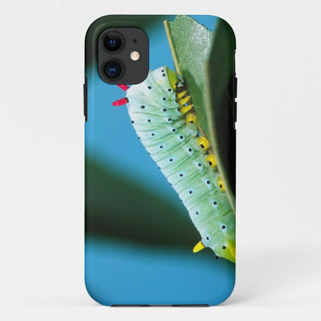 Funda De Case-Mate Para iPhone Prometheus Moth Caterpillar, Callosamia (Reverso)