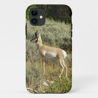 Funda Para iPhone 11 Pronghorn en el Parque Nacional de Grand Teton