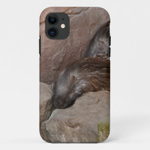 Funda Para iPhone 11 Puercoespines crestados indios