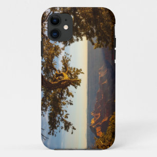 Funda Para iPhone 11 Puesta del sol sobre el Gran Cañón