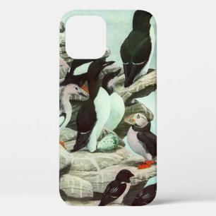 Funda Para iPhone 12 Pufins vintage y aves acuáticas de Louis Fuertes