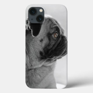 title_seo2 Pug en perfil