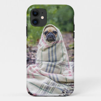 title_seo2 Pug en una manta