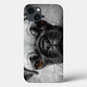 Funda Para iPhone 13 Pug Pup