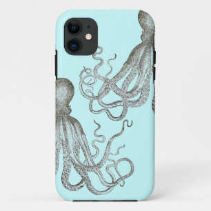 title_seo2 Pulpo