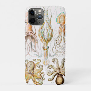 Funda Para iPhone 11 Pro Pulpo Calamar, Gamochonia por Ernst Haeckel