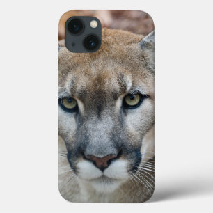 Funda Para iPhone 13 Puma, león de montaña, pantera de Florida, Puma