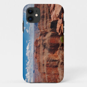 Funda Para iPhone 11 Punto de Eagle