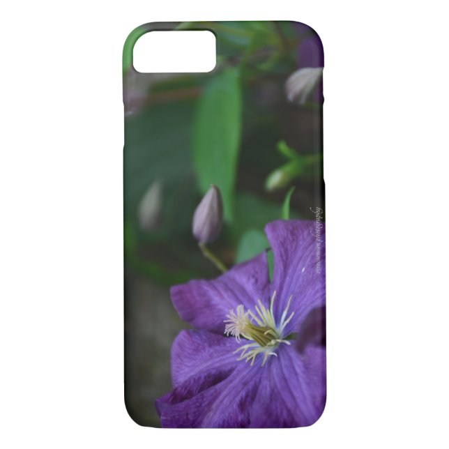 Funda De Case-Mate Para iPhone Purple Clematis (Reverso)