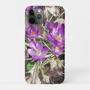 Funda Para iPhone 11 Pro Púrpura Crocus