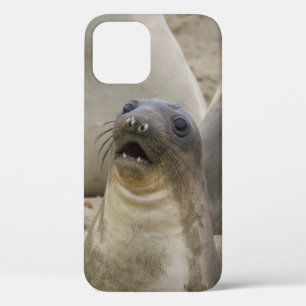 FUNDA PARA iPhone 12 PRO ¿QUÉ?