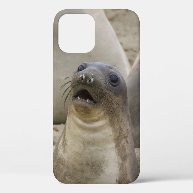 FUNDA DE Case-Mate PARA iPhone ¿QUÉ? (Reverso )